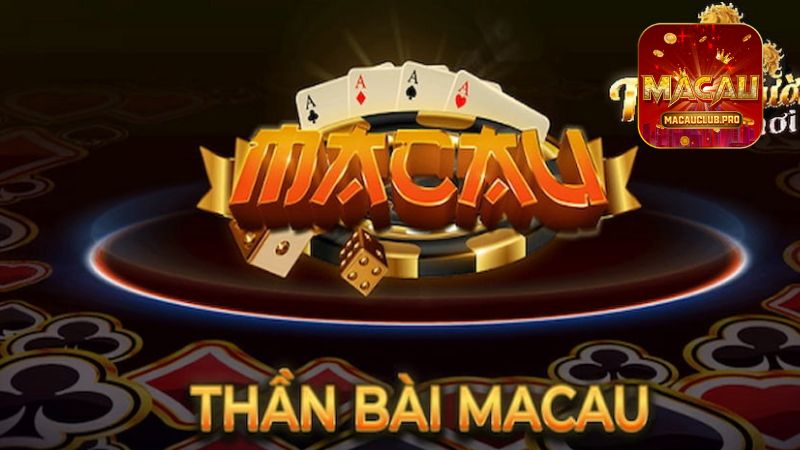 dai-ly-macau